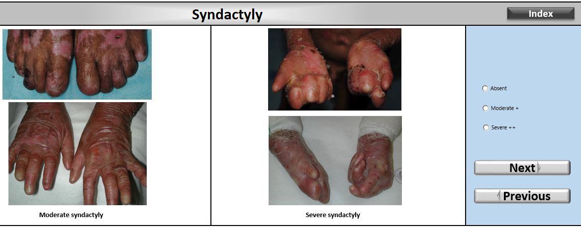 clinical-diagnostic-matrix