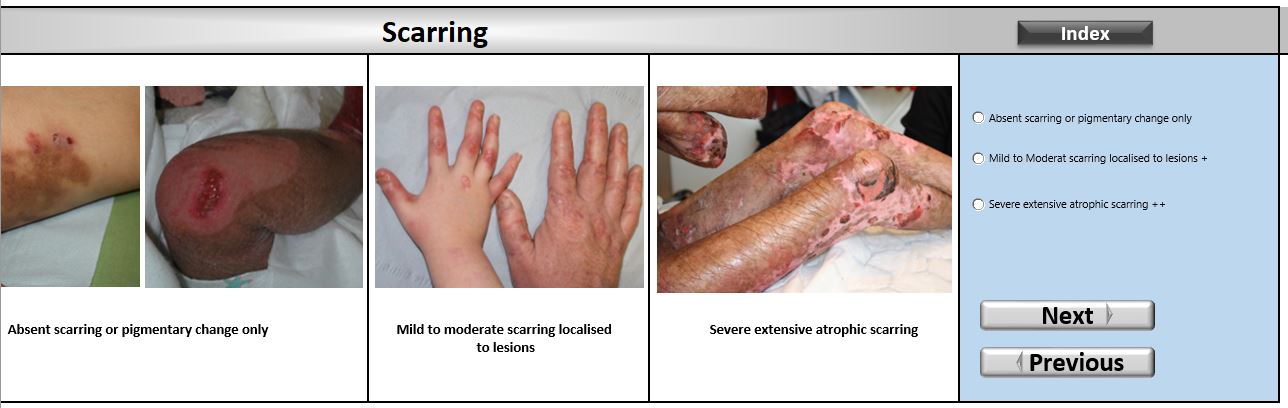 clinical-diagnostic-matrix